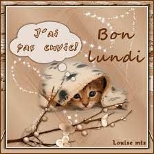 téléchargement (3).jpg