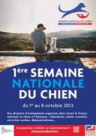 téléchargement (5).jpg