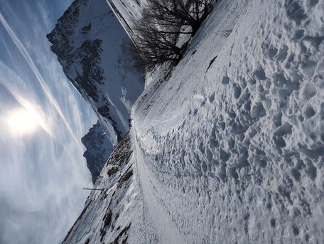 SFR_Google-Pixel-8_001.jpg SFR_Google-Pixel-8_001.jpg