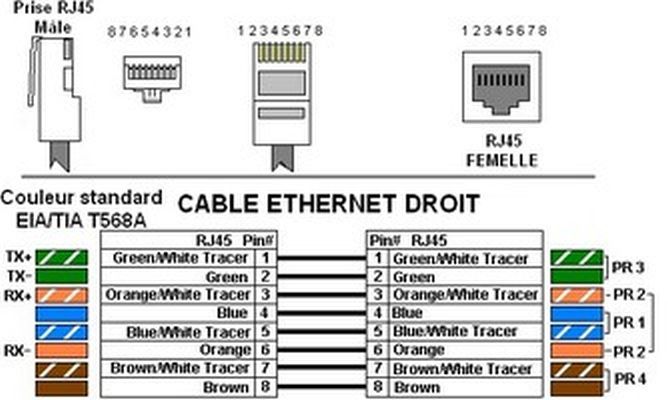 Cablage RJ45.jpg