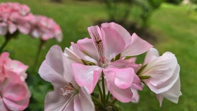 09062026_blog_Kendokanne_a_testé_pour_vous_le_Samsung_Galaxy_S26+_.004.jpg