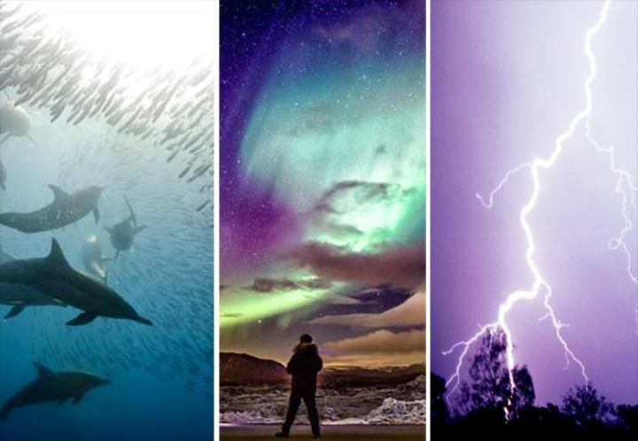 3 Images MAGNIFIQUES.jpg