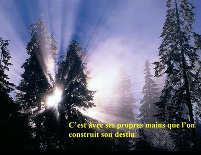 SFR_ Construction de son destin.jpg