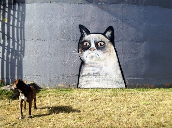 grumpy-cat-grafitti-in-a-dog-park_256734-700x.jpeg