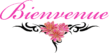 bienvenue.gif