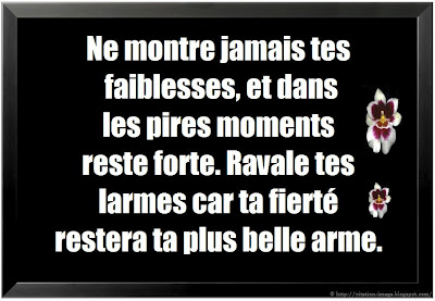 Citation-faiblessepmqasz.jpg