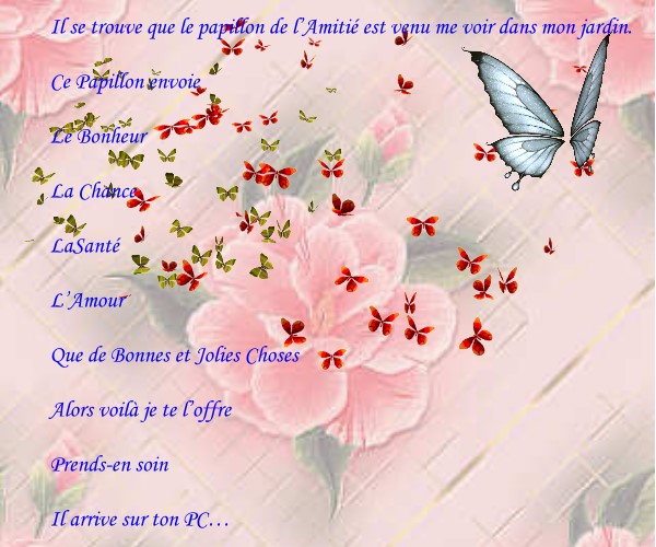 Papillon pour Fatou.jpg