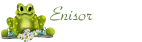 enisor1.gif