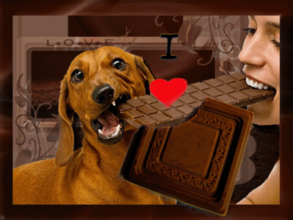 rr_I_Love_chocolate_blank54.gif