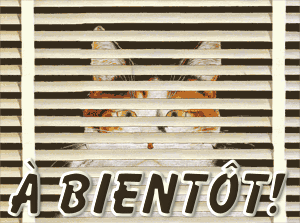 chat_fenetre-abientotlD.gif