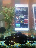 DSC_0609.JPG DSC_0609.JPG