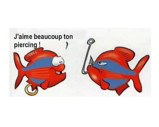 144939percing-poisson-hamecon-jpg.jpg