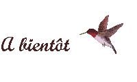 A bientôt oiseau.gif